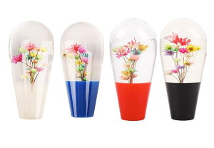 VtgmuJo[    hXAbv pi J[ ANZT[  MA Vtg o[   킢   