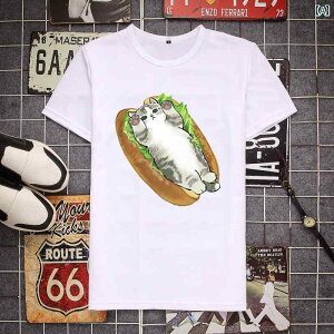 L tVc vg Y CXg  킢 ubN zCg I[o[TCY EhlbN no[K[  t fB[X 傫TCY