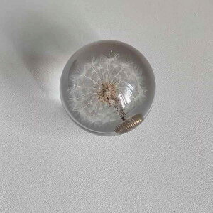 VtgmuJo[    hXAbv pi J[ ANZT[ }jA I[g} MT AT MA Vtg o[ ^|| L   Eh