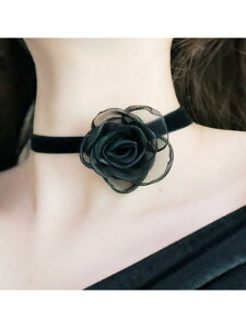 `[J[      `F[ nEB[ NX}X RXv Xgbv g fB[X [^   