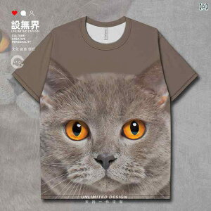 L TVc fB[X Y q t  EhlbN bV  ʋC JWA vg A ʐ^ 3D 킢 傫TCY