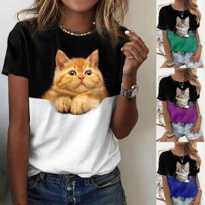 L TVc 킢 fB[X Jbv t  EhlbN   JWA 3D vg A   傫TCY