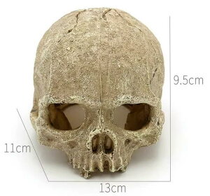 CeA G hN XJ   I[ig u   K[f rO nEB p[eB[ Cxg  z[ Vv