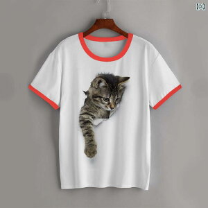 L TVc  fB[X Y Jbv t  EhlbN pCsO O X JWA 3D vg A 킢  傫TCY