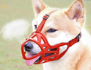 p  rߖh~ ?݂ ʖi ybgp }XN }Y }EXJo[  g[jO U Oo Z[teB[ ʋC \tg TCY ߉\  