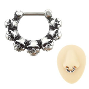 @sAX O g W pN `^ | h AJ h^Cv 1.2mm Vo[ XJ ANZT[ fB[X Y jp