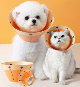 GUxXJ[  L 킢 PVC PU p aC  Ђ  r h~ y ʃt@Xi[ \ CI   F  sN