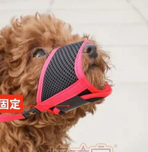 p  rߖh~ ʖi ݂ ybgpi  g[jO Oo U bV ʋC }EXJo[ }XN Z[teB[   O[