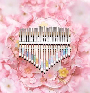 Jo y ew sAm   N[o[ 17 21 S  AtJ t K ȒP 킢  P[X  sN