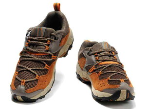 Xj[J[ Y ₷   bV ʋC ϖՐ Ռz ɂ y oR AEghA X|[c JWA n IW O[ F