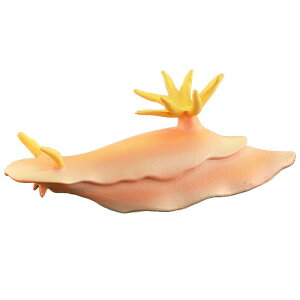 Cm tBMA A vX`bN 􂦂 q v[g Aj} c FmB mߋ  ~j`A fBXvC RNV u IW E~EV