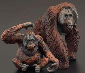 A  tBMA {lIIE[^ 쒷 ͌^ ~j`A  q mߋ  쐶 Aj} ̐} CeA v[g RNV F PVC