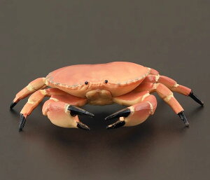 A  tBMA Cm bk Jj I  ͌^ q mߋ ̐} ~j`A  CeA v[g RNV  PVC