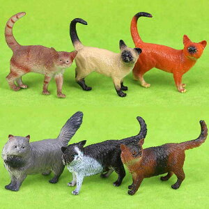 A  tBMA L Lbg vX`bN PVC ͌^ q  ~j`A RNV CeA v[g mߋ ̐} Aj} 킢