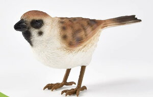 A  tBMA  XY  킢 vX`bN q  ~j`A ͌^ RNV CeA v[g mߋ ̐} Aj}