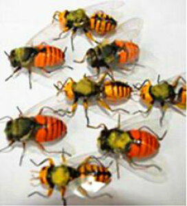 tBMA I f ~co` XYo` 쐶  ʐ^ Be Be   Ԃ  F  i A ώ@ XPb` RNV