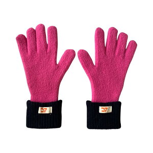 手袋 レディース 秋冬 暖かい 防寒 保温 厚手 スマホ対応 五本指 普段使い 外出用 シンプル おしゃれ ラベル バイカラー グレー 黒 青