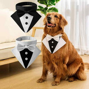    ybg p lN^C X[c XJ[t 傫TCY EGfBO  LO ʐ^ Be  ߑ { {^ ʃt@Xi[  