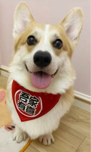    EFfBO ybg  X^C Op XJ[t  傫TCY o U p[eB[ ʐ^ Be ߑ  ^[vg 