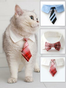 ˂   ybg ANZT[  lN^C X^C  ETM x@ RXv ʐ^ Be  ߑ ʃt@Xi[  `FbN XgCv  