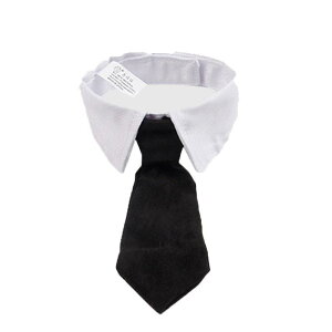    L ybg  lN^C { X[c p ANZT[  ʃt@Xi[  p[eB[ ʐ^ Be  ߑ o U n vg XgCv    