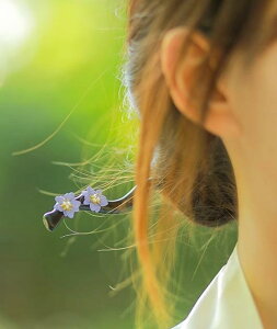 񂴂 { Vv wAANZT[   h ؐ G{j[ ؘ@ @  ni~YL   Ȃ߂炩 g  a Mtg