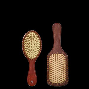 R[ ÓdC h~ ӂӂ fB[X ƒp |[^u GANbV ܂Ȃ h }bT[W L  sN  lp  Vv i` ig 炳 v[