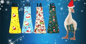 pނ o[hX[c ybg Ђ K`E  {^ TCY\ Hی  h { 킢 hbg NX}X  lN^C   