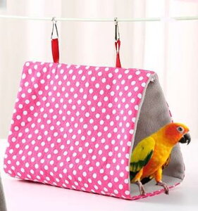 o[heg  CR IE ۉ g _炩 xbh OpnEX  Q ݂艺 nbN O\ 􂦂 hbg  sN  