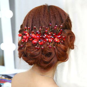  wA[ANZT[ EFfBO uC_ ؍ wbhhX { t[ KN [t p[ r[Y rW[ hJ AW ԉ  I OB p[eB[ Cx