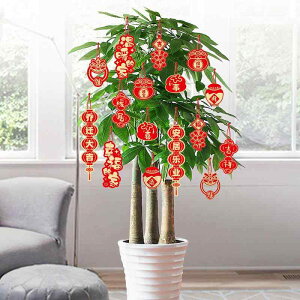    z V j t ݂邵 A ϗtA  fR[V ^ ^bZ rO  CeA I  