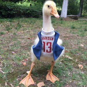 ybg  킢 o[hX[c  h Aq K`E |Pbg ނ K Vv JWA ȒP ֗ RXv xXg v[g