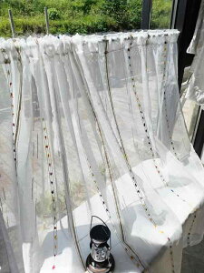  d؂ J[e JtF ډB XgCv Jt hA ݂艺  Ռ p[eBV V[g _ |GXe  _炩 ȒP Vv