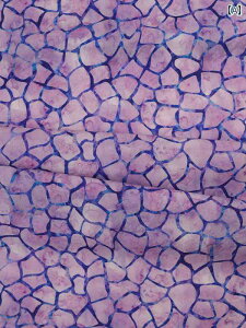 n ԕ 킢   XgCv nhCh qǂ pb`[N vg |  }`Jo[ m NX bXobO