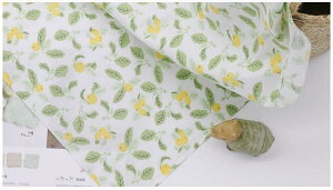 n ԕ 킢   cC `FbN  l n  nhCh e[uNX m | ؍ i` JWA