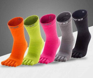 K\bNX 5{w ~ jZbNX C ʋC z seBX GAr X|[c tBbglX W EFA p Vv   O[