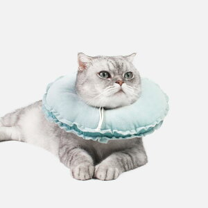 GUxXJ[ L \tg   _炩 ӂӂ z ybgp ~ ݂h~ }J NbV sN CG[