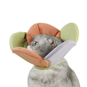 GUxXJ[ L \tg  ybg  ی ~ r ݂h~ p  NbV ӂӂ  CgO[ T[sN  AC{[ ~bNXJ[