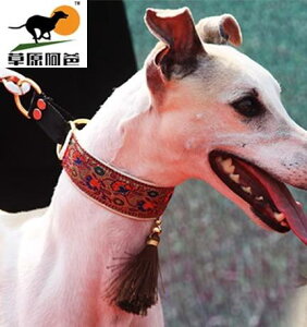  [h Zbg ybgpi  EBybg C^O OCnEh  GXjbN ^bZ tbN [v 傫  