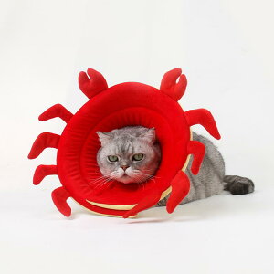 GUxXJ[ L \tg  ybg NbV ӂӂ ]E CV Jj یJo[ ~ ݂ rߖh~ p 傫TCY