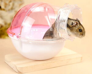 ybg gC  nEX  ی^ nX^[   oX[ C Jo[ Ot   sN Vv n