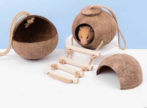  nEX Vя  nX^[ RRibcVF B xbh g ۉ ybgpi  [v _[ t@Co[}bg