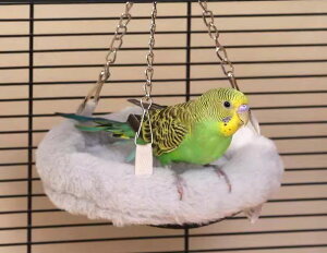 pi ybg IE CR  Q g h ۉ ~  ӂӂ nbN  傫  `F[ tbN n sN O[