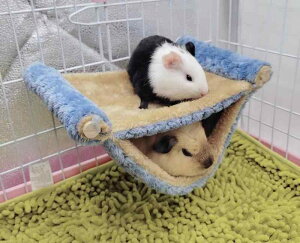  nEX bg nX^[ B  g h ۉ  ӂӂ nbN Wv ybgpi w 傫   