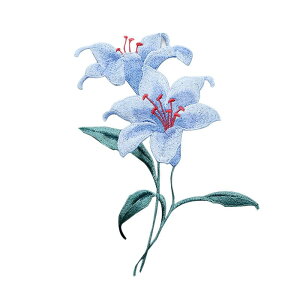 by hJ   Dt nhCh  CN C ߗ obO  `Ci l  GKg sN  F