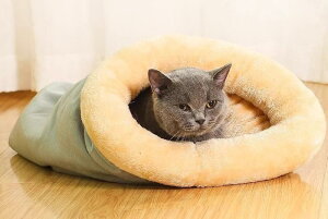 L xbh Q ~ g   킢 N ӂӂ 􂦂   }bg K _炩 JWA Vv ʐ^Be R[q[F O[