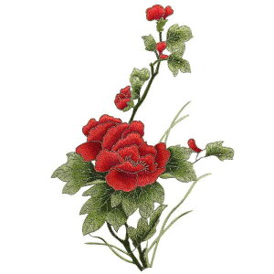 by hJ  t O Dt 傫TCY nhCh  CN C ߗ `Ci g l  GKg