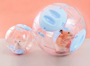 nX^[ ߋ  ^ yp jO{[  lY~ bg ybgpi 傫  NA  sN 