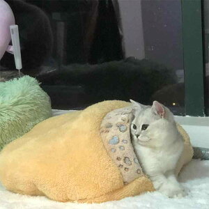 L xbh Q ~ h g _炩   }bg ybg 킢 ʐ^Be JWA ӂӂ K  ۉ