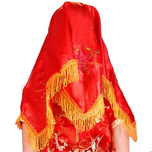 x[ EGfBO ANZT[  Vw g `CihX  傫  hJ [   ߑ  tW lp`